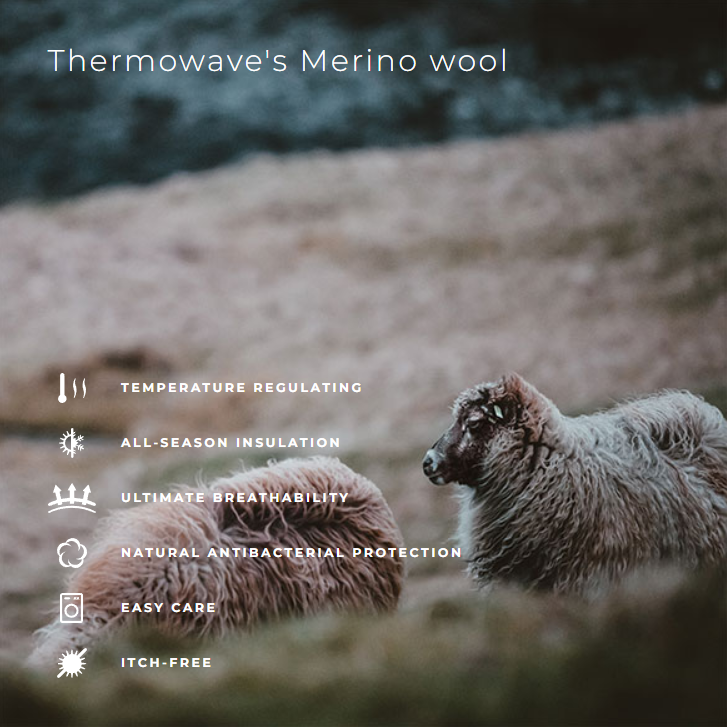 Hlače Thermowave MERINO WONDER LONG PANTS GSM 200