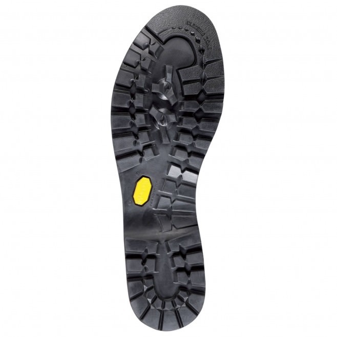 Planinarske cipele Millet FRICTION GTX