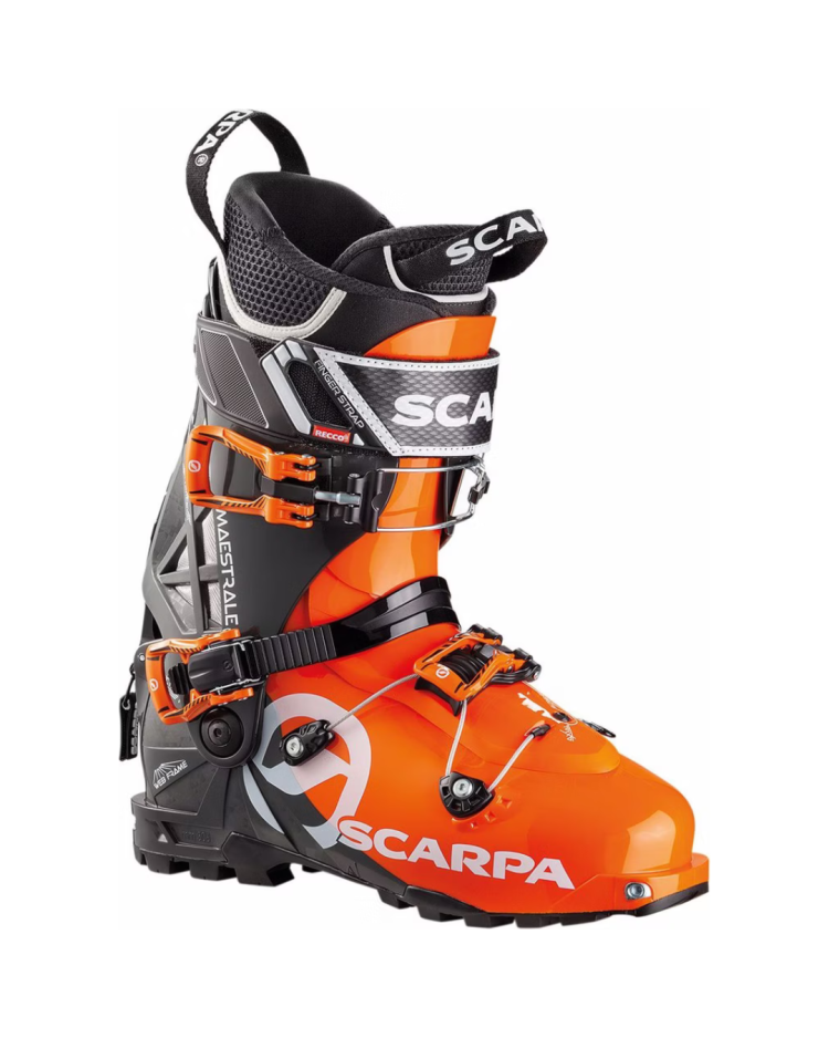 Pancerice Scarpa MAESTRALE